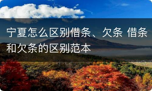 宁夏怎么区别借条、欠条 借条和欠条的区别范本