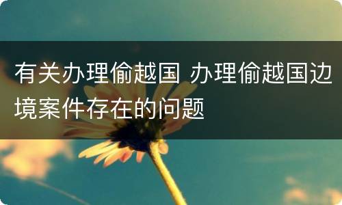 有关办理偷越国 办理偷越国边境案件存在的问题
