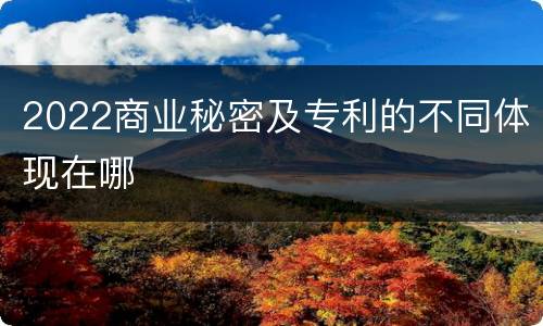 2022商业秘密及专利的不同体现在哪