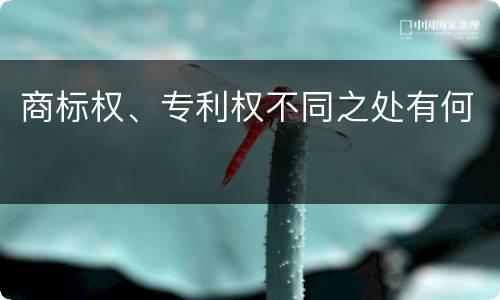 商标权、专利权不同之处有何