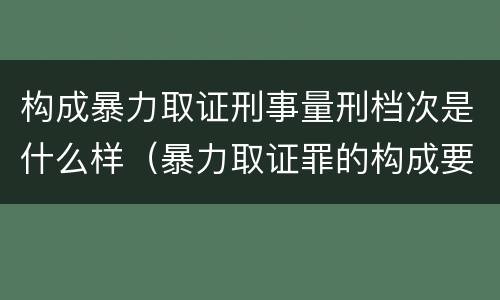 构成暴力取证刑事量刑档次是什么样（暴力取证罪的构成要件）