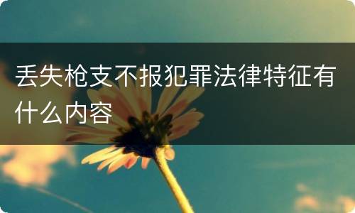 丢失枪支不报犯罪法律特征有什么内容