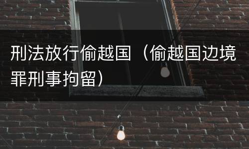 刑法放行偷越国（偷越国边境罪刑事拘留）