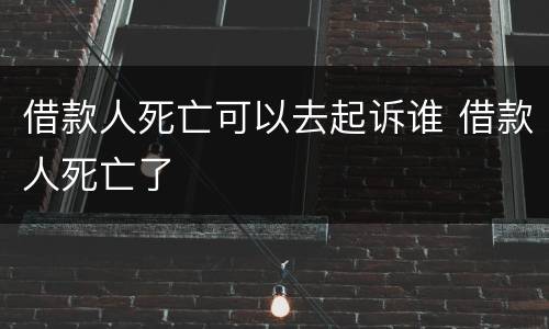 借款人死亡可以去起诉谁 借款人死亡了