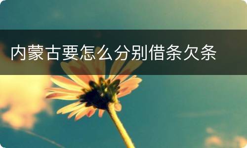 内蒙古要怎么分别借条欠条