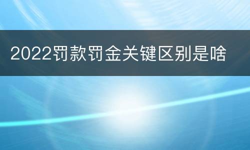 2022罚款罚金关键区别是啥