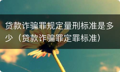 贷款诈骗罪规定量刑标准是多少（贷款诈骗罪定罪标准）