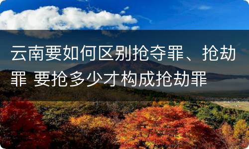 云南要如何区别抢夺罪、抢劫罪 要抢多少才构成抢劫罪