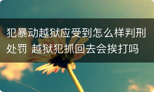犯暴动越狱应受到怎么样判刑处罚 越狱犯抓回去会挨打吗