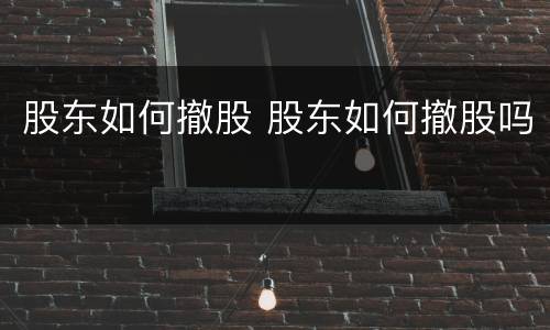 股东如何撤股 股东如何撤股吗