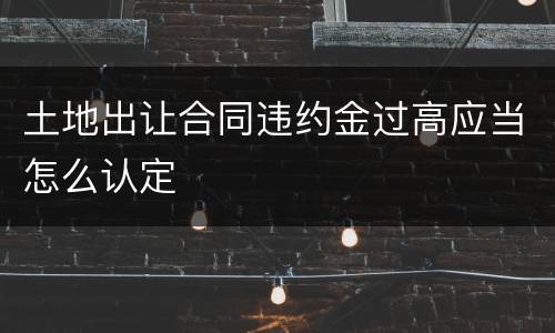 土地出让合同违约金过高应当怎么认定