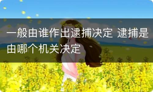一般由谁作出逮捕决定 逮捕是由哪个机关决定