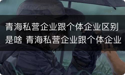 青海私营企业跟个体企业区别是啥 青海私营企业跟个体企业区别是啥呢