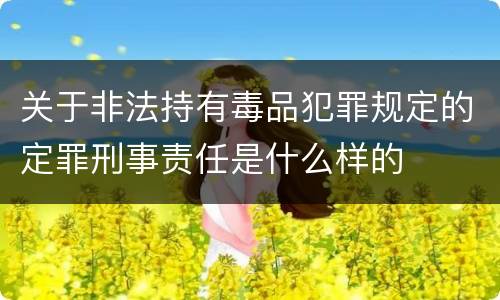 关于非法持有毒品犯罪规定的定罪刑事责任是什么样的