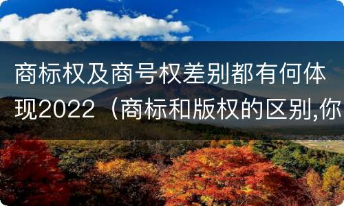 商标权及商号权差别都有何体现2022（商标和版权的区别,你知道多少?）