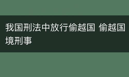 我国刑法中放行偷越国 偷越国境刑事