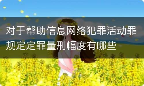 对于帮助信息网络犯罪活动罪规定定罪量刑幅度有哪些