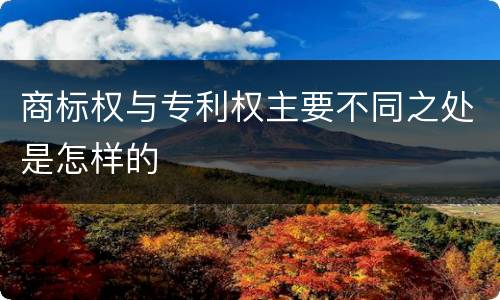 商标权与专利权主要不同之处是怎样的