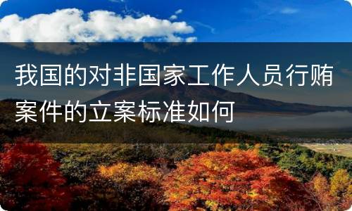 我国的对非国家工作人员行贿案件的立案标准如何