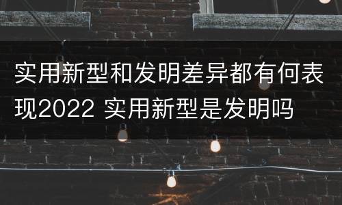 实用新型和发明差异都有何表现2022 实用新型是发明吗
