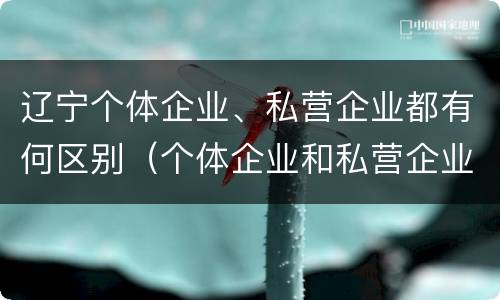 辽宁个体企业、私营企业都有何区别（个体企业和私营企业的区别）