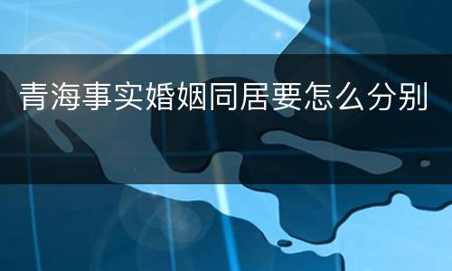 青海事实婚姻同居要怎么分别