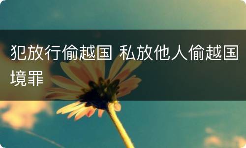 犯放行偷越国 私放他人偷越国境罪