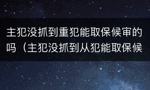 主犯没抓到重犯能取保候审的吗（主犯没抓到从犯能取保候审吗）