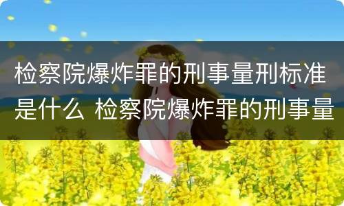 检察院爆炸罪的刑事量刑标准是什么 检察院爆炸罪的刑事量刑标准是什么意思