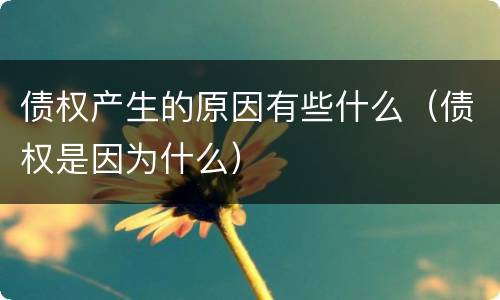 债权产生的原因有些什么（债权是因为什么）