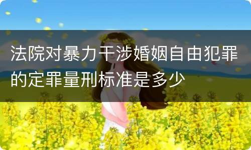 法院对暴力干涉婚姻自由犯罪的定罪量刑标准是多少