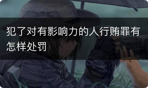 犯了对有影响力的人行贿罪有怎样处罚