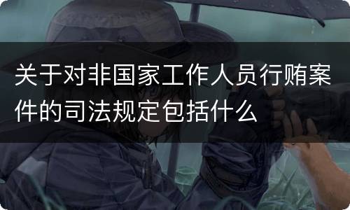 关于对非国家工作人员行贿案件的司法规定包括什么