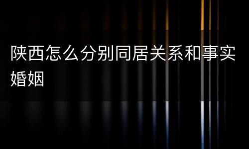 陕西怎么分别同居关系和事实婚姻
