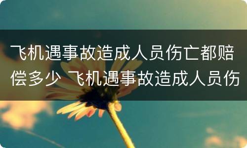 飞机遇事故造成人员伤亡都赔偿多少 飞机遇事故造成人员伤亡都赔偿多少