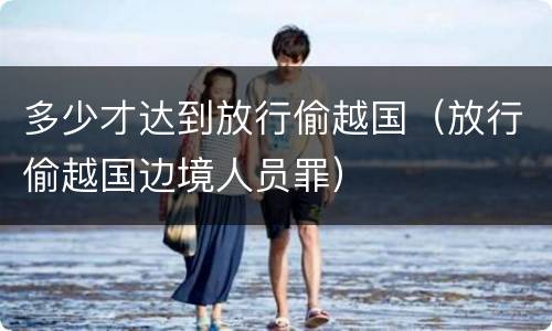 多少才达到放行偷越国（放行偷越国边境人员罪）