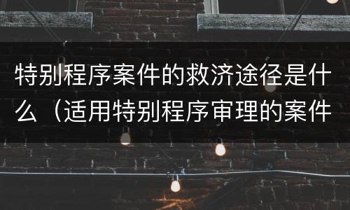 特别程序案件的救济途径是什么（适用特别程序审理的案件的救济）