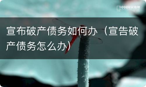 宣布破产债务如何办（宣告破产债务怎么办）