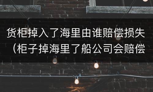 货柜掉入了海里由谁赔偿损失（柜子掉海里了船公司会赔偿吗）