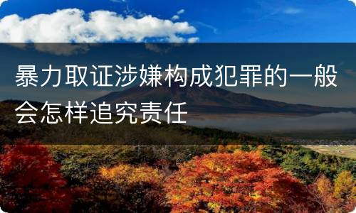暴力取证涉嫌构成犯罪的一般会怎样追究责任