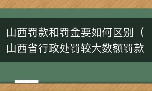 山西罚款和罚金要如何区别（山西省行政处罚较大数额罚款）