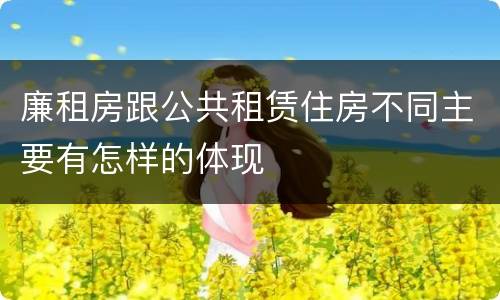 廉租房跟公共租赁住房不同主要有怎样的体现