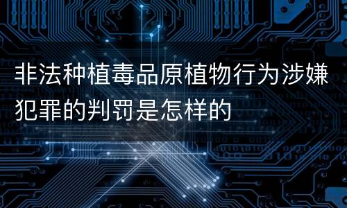 非法种植毒品原植物行为涉嫌犯罪的判罚是怎样的