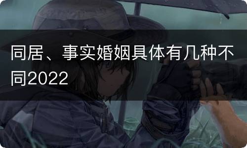 同居、事实婚姻具体有几种不同2022