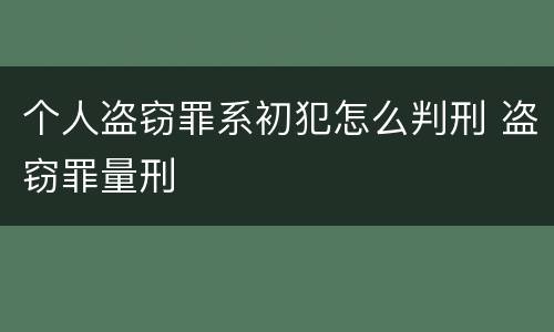 个人盗窃罪系初犯怎么判刑 盗窃罪量刑