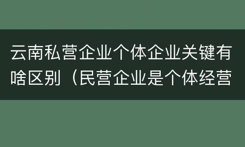 云南私营企业个体企业关键有啥区别（民营企业是个体经营吗）