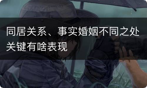 同居关系、事实婚姻不同之处关键有啥表现