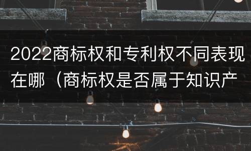 2022商标权和专利权不同表现在哪（商标权是否属于知识产权）