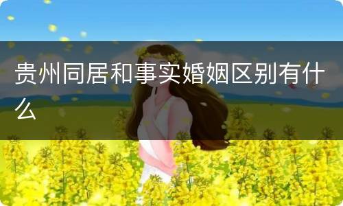贵州同居和事实婚姻区别有什么