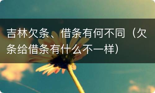 吉林欠条、借条有何不同（欠条给借条有什么不一样）